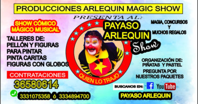 arlequin magic show